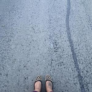 Diamonds And Freeho's