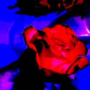 「FREE」Trap beat 迷幻 炸