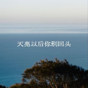 天亮以后你别回头
