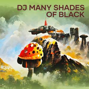 Dj Many Shades of Black