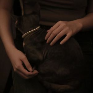 脉搏Pulse(prod.by Morrow)