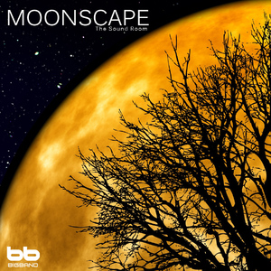 Labyrinth (Mark Howell)