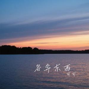 各奔东西 (Cover 赵乃吉)