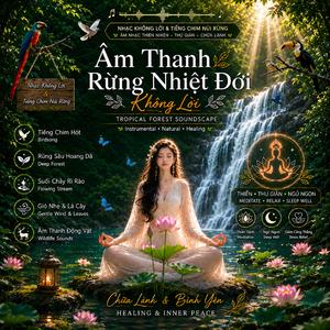 Âm Thanh Rừng Nhiệt Đới (Instrumental)