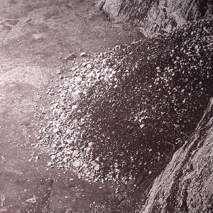 Her Stomach On Terror