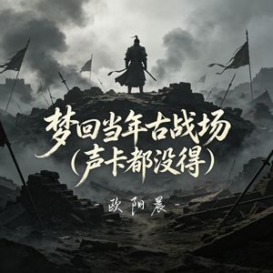 梦回当年古战场(声卡都没得)