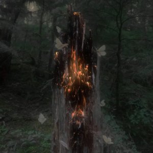 水草2 - 01 开始(2)