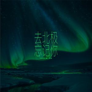 去北极忘记你