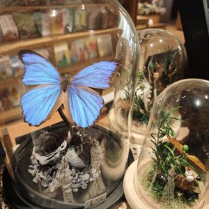 冰汽水撞进晚风里