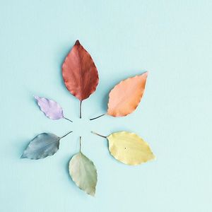 Making Love Out Of Nothing At All（半音阶口琴）