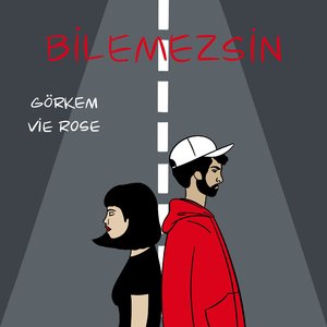 Bilemezsin