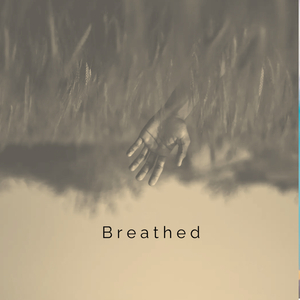 Serenity In The Rain