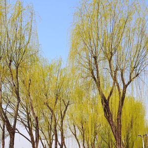 烟雨亭（TO 洵谙的点歌）