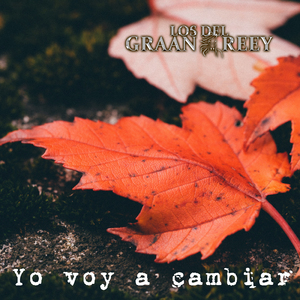 Yo Voy a Cambiar