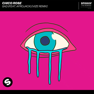 Sad (feat. Afrojack) [Extended VIZE Remix]