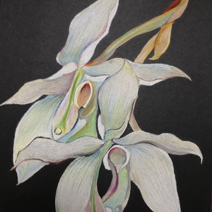 一声不吭的土地