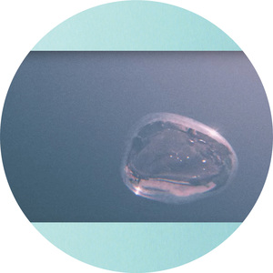 LOL (Frits Wentink Remix)