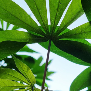 Infinite Where Life Begins