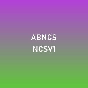 AB.NCS[XV], Vol. I