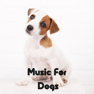 Music For Dogs