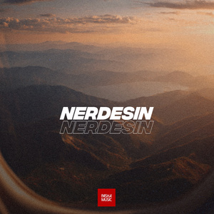 Nerdesin