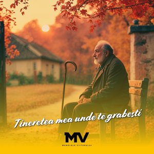 Tineretea mea unde te grabesti