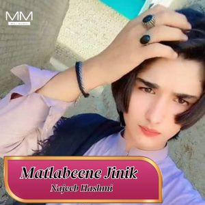 Matlabeene Jinik