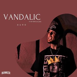 VANDALIC DURO (feat. VANDALIC, RIP TRIP & LIL JOSS)