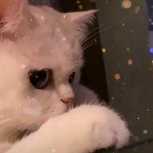 你的眼睛像星星