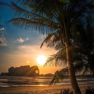 coroan-The Rhythm of the Night（嗨talent remix）