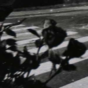 公主，李面请（ProdEVOMUSIC）