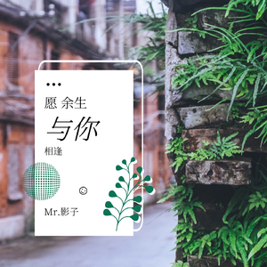 虫儿飞【钢琴版】