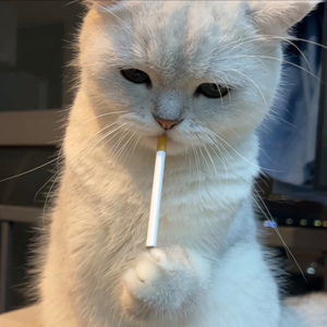 爱我到天荒地老