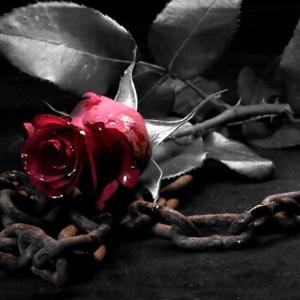 904baby (feat. 904budda)