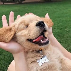 今天我来当老大