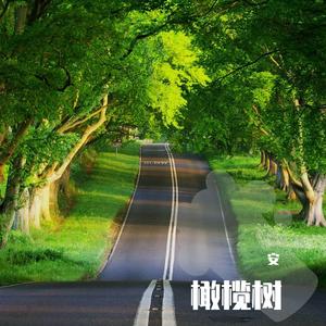 橄榄树（钢琴曲）