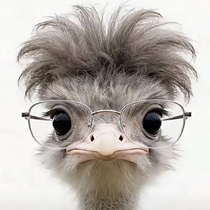 我唉꒦ິᯅ꒦ີ (ProdByN1Skai&harui)