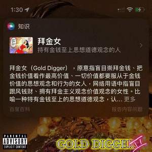 GOLD DIGGER II