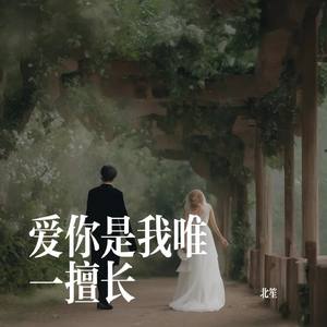 爱你是我唯一擅长