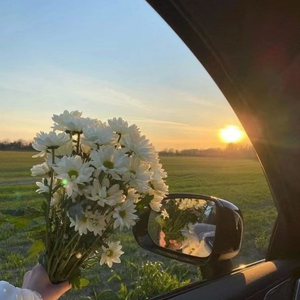 当我想你的时候