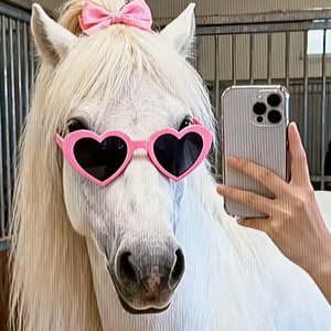 故事的结局重不重要