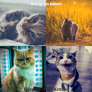 Simplistic (Cats)