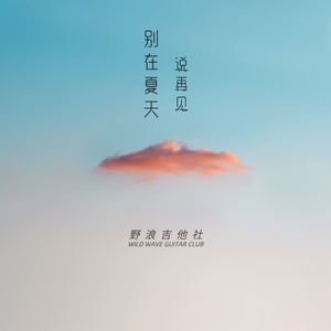别在夏天说再见（吉它曲）