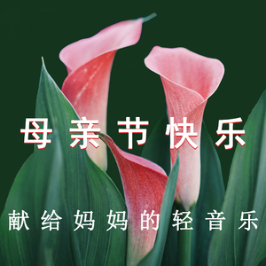 爱你永远 (优美轻音乐)