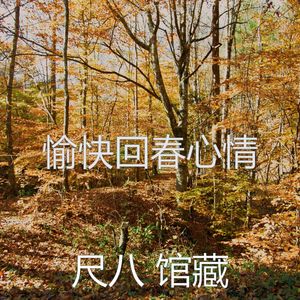 抚慰的冥想回忆