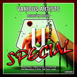 Combustible (Original Mix)