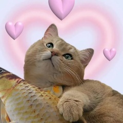 放飞童年动画片阿U主题曲