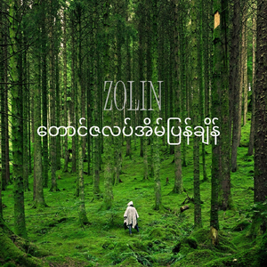 တောင်ဇလပ်အိမ်ပြန်ချိန် (Live)