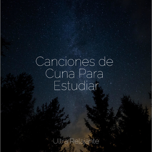 Desintoxicar el Cuerpo