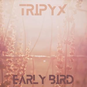 Early Bird